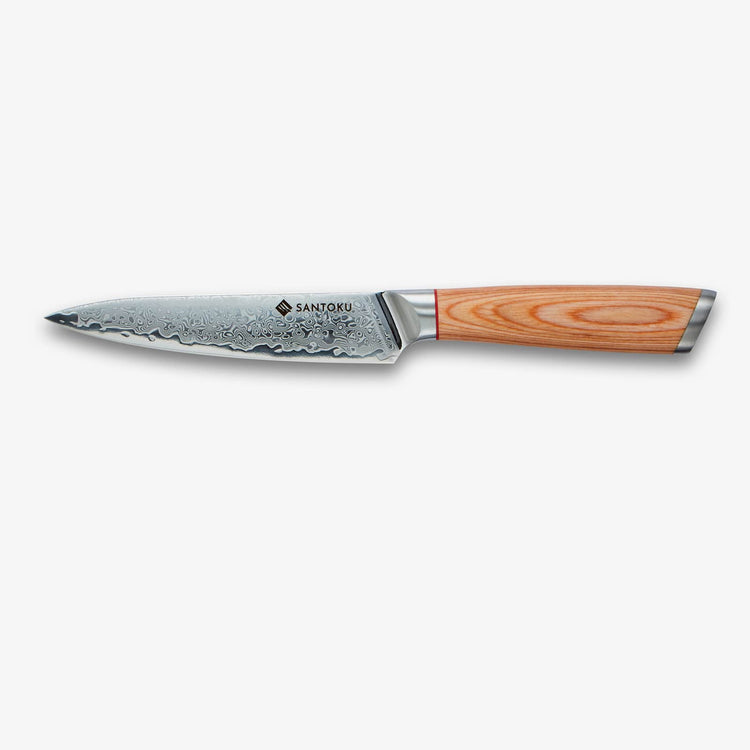 Haruta Juego de cuchillos de cocina japoneses de acero damasco VG10 de 5 piezas con mangos y fundas de madera